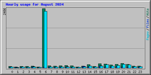 Hourly usage for August 2024