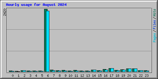 Hourly usage for August 2024