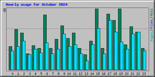 Hourly usage for October 2024